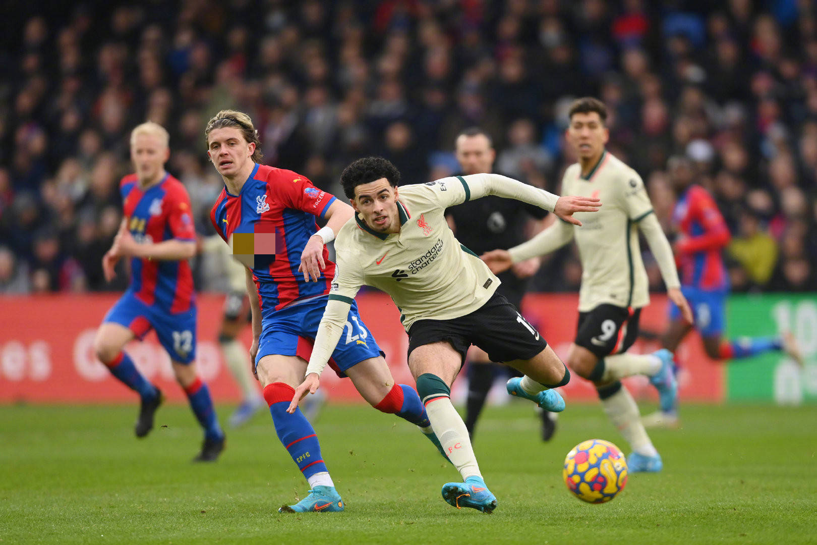 能凭借自己 能凭借自己